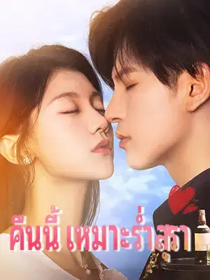 คืนนี้เหมาะร่ำสุรา