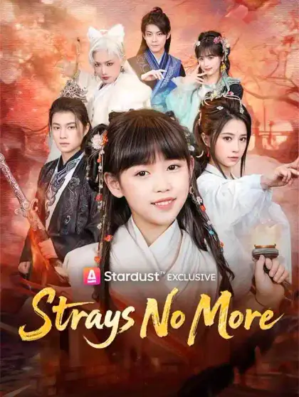 Strays No More