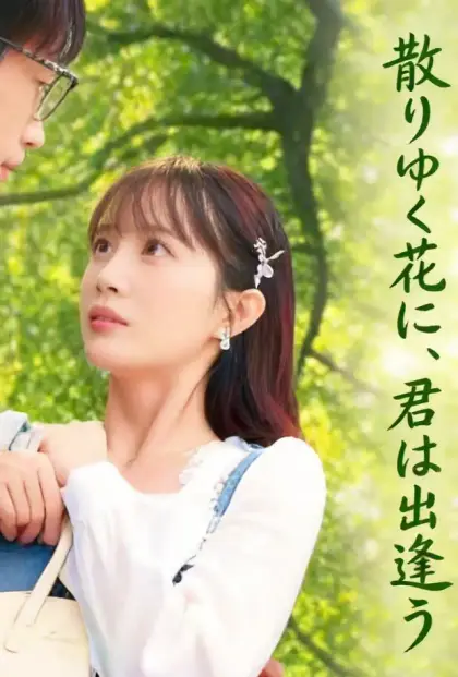 散りゆく花に、君は出逢う